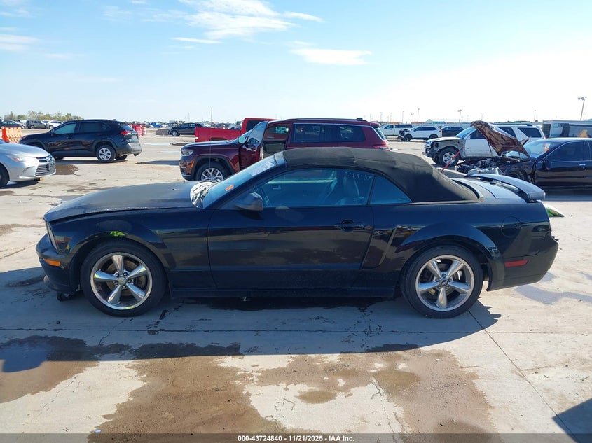 2008 Ford Mustang Gt Deluxe/Gt Premium VIN: 1ZVHT85H485201595 Lot: 43724840