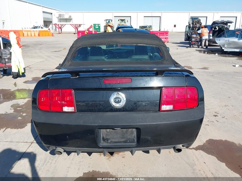 2008 Ford Mustang Gt Deluxe/Gt Premium VIN: 1ZVHT85H485201595 Lot: 43724840