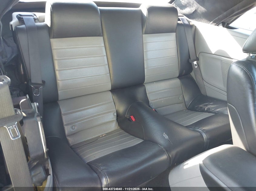 2008 Ford Mustang Gt Deluxe/Gt Premium VIN: 1ZVHT85H485201595 Lot: 43724840