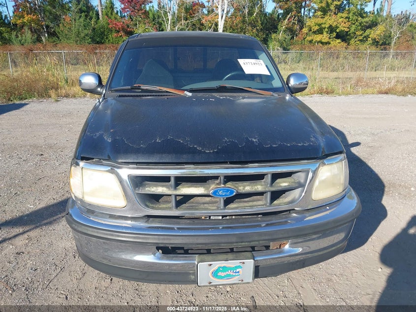 1997 Ford F-150 Lariat/Standard/Xl/Xlt VIN: 1FTDF1761VNA35768 Lot: 43724923