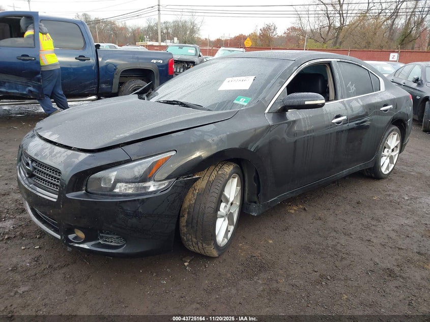 2009 Nissan Maxima 3.5 Sv VIN: 1N4AA51E19C816659 Lot: 43725164