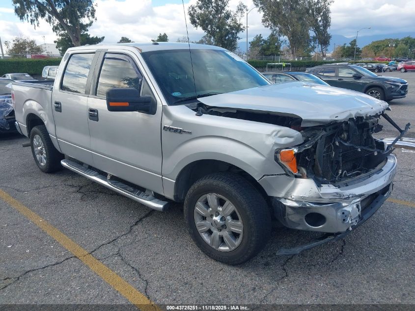 FORD F-150 FX2 SPORT/XL/XLT