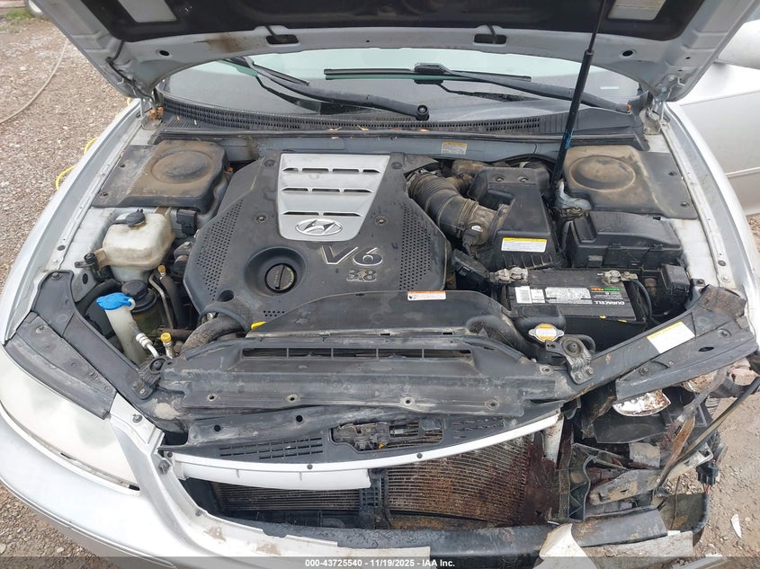 2007 Hyundai Azera Limited/Se VIN: KMHFC46F57A147449 Lot: 43725540