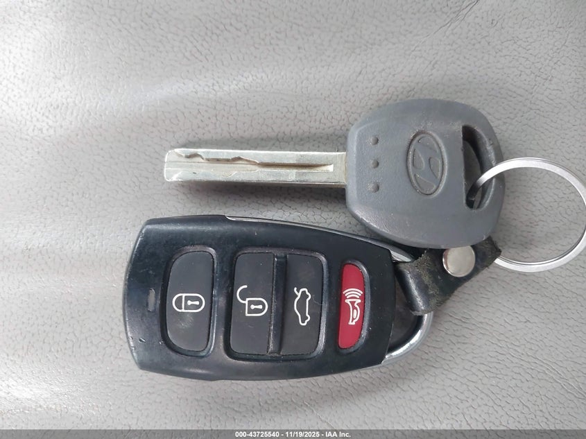 2007 Hyundai Azera Limited/Se VIN: KMHFC46F57A147449 Lot: 43725540