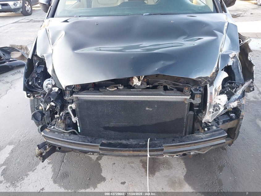 2006 Honda Odyssey Ex-L VIN: 5FNRL38796B437376 Lot: 43725643