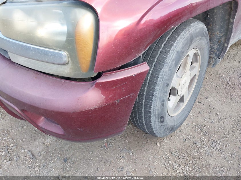 2004 Chevrolet Trailblazer Ls VIN: 1GNDS13S042311377 Lot: 43725712