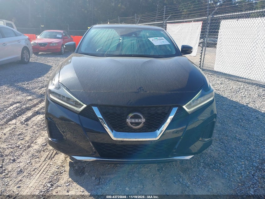 2023 Nissan Maxima Sv Xtronic Cvt VIN: 1N4AA6CV9PC508977 Lot: 43725846