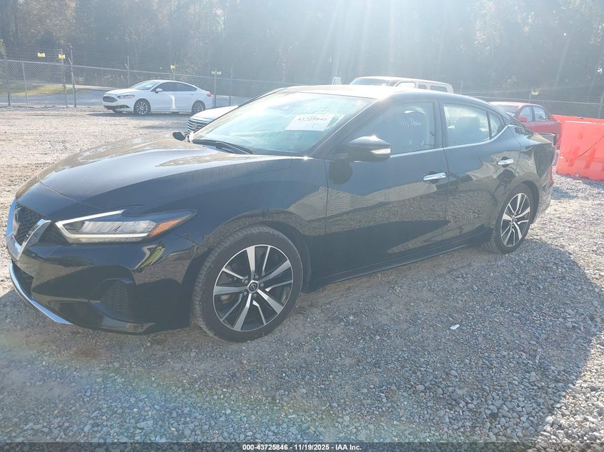 2023 Nissan Maxima Sv Xtronic Cvt VIN: 1N4AA6CV9PC508977 Lot: 43725846