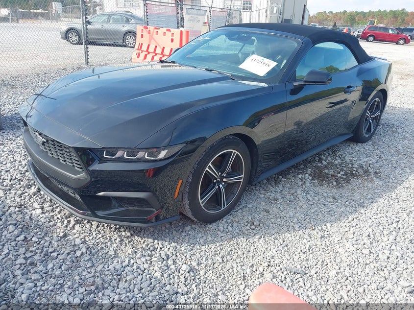 1FAGP8UH6R5122778 2024 FORD MUSTANG photo no. 2