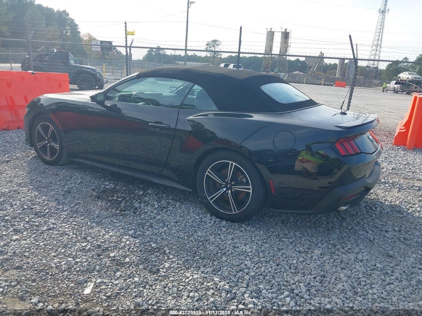 1FAGP8UH6R5122778 2024 FORD MUSTANG photo no. 3