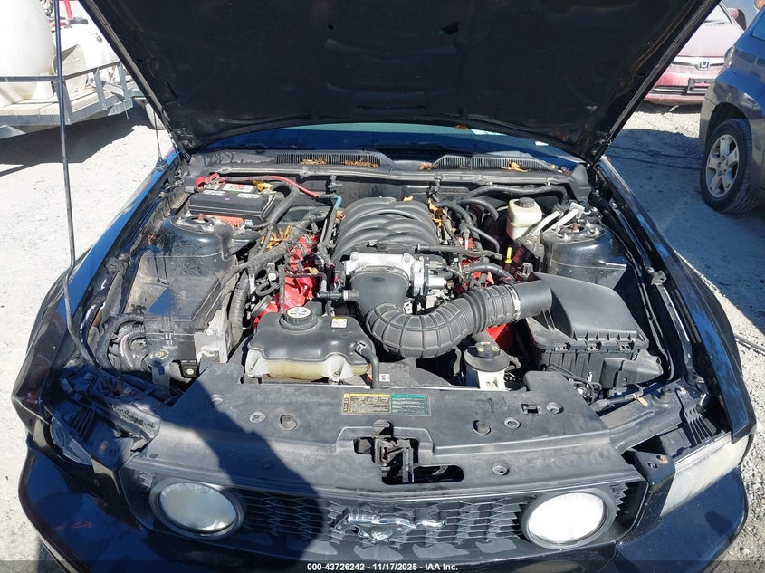 2006 Ford Mustang Gt VIN: 1ZVFT85HX65256914 Lot: 43726242