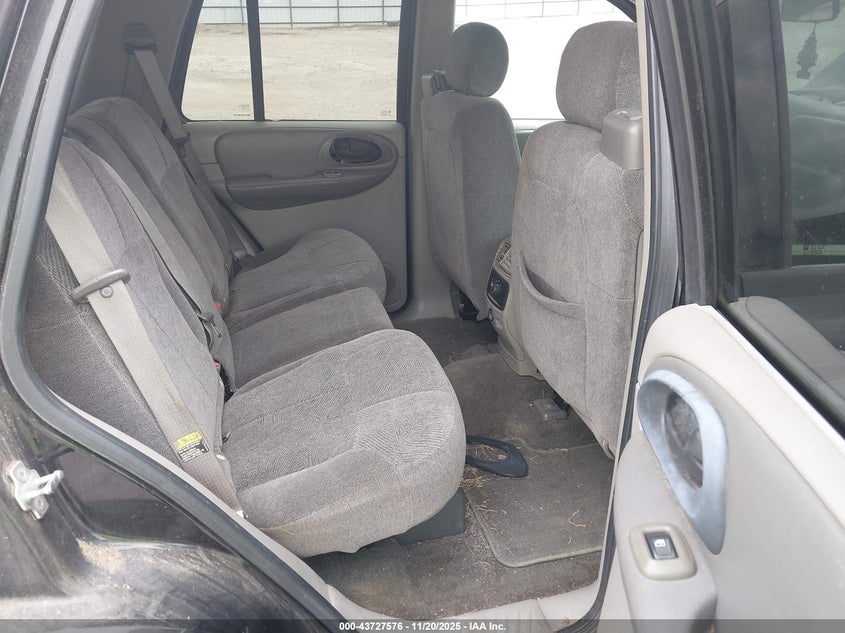 2004 Chevrolet Trailblazer Ls VIN: 1GNDS13S442408159 Lot: 43727576