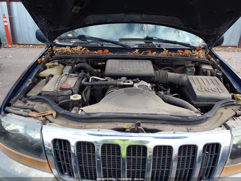 2000 Jeep Grand Cherokee Laredo VIN: 1J4GW48N2YC376921 Lot: 43727911