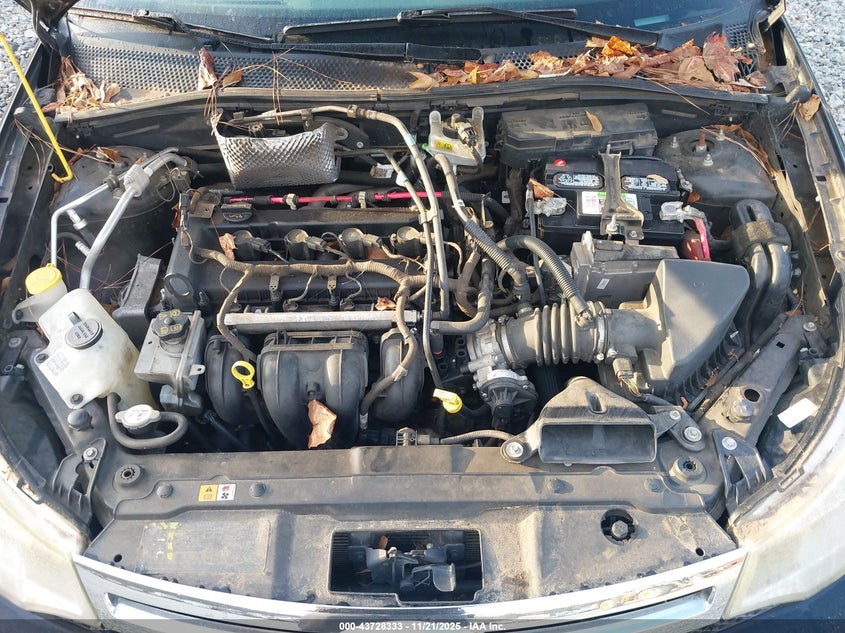 1FAHP35N09W149996 2009 FORD FOCUS photo no. 10