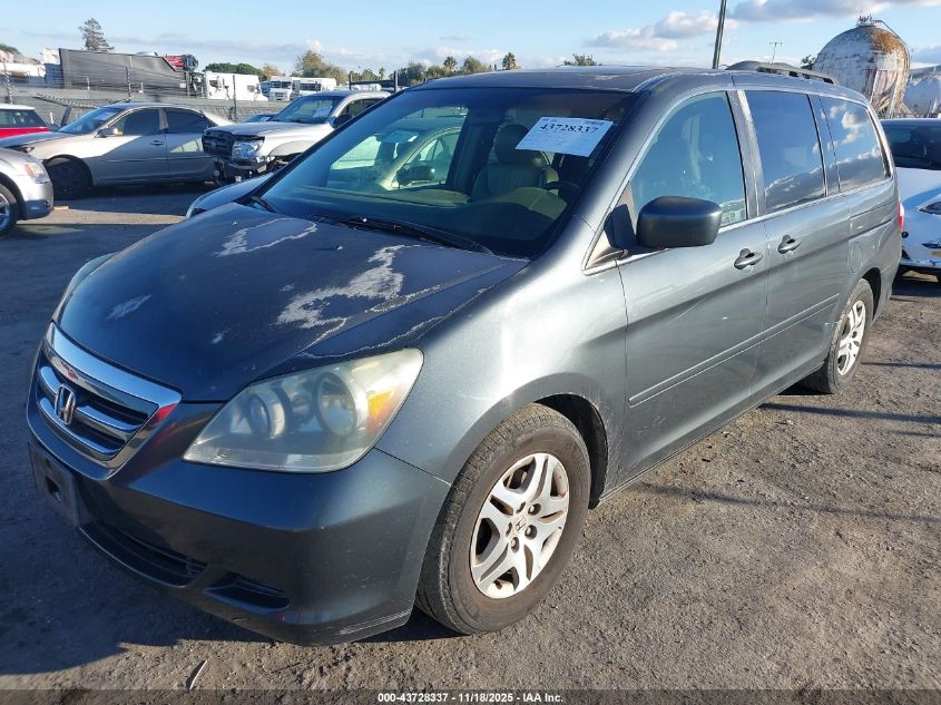 2005 Honda Odyssey Ex-L VIN: 5FNRL387X5B088890 Lot: 43728337