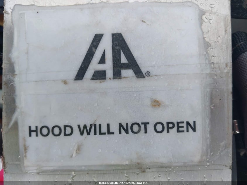 2019 Tesla Model 3 Long Range/Performance VIN: 5YJ3E1EB3KF429488 Lot: 43728346