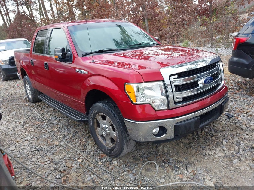 FORD F-150 XLT