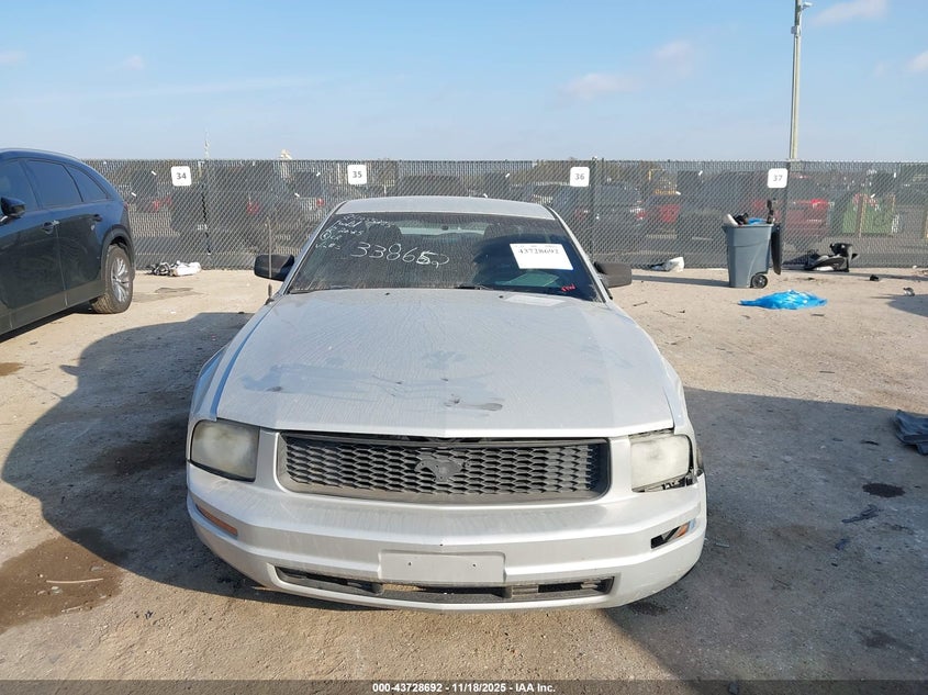 2007 Ford Mustang V6 Deluxe/V6 Premium VIN: 1ZVHT80N175338652 Lot: 43728692