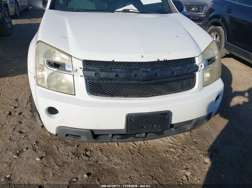 2007 Chevrolet Equinox Ls VIN: 2CNDL13F976037656 Lot: 43728771