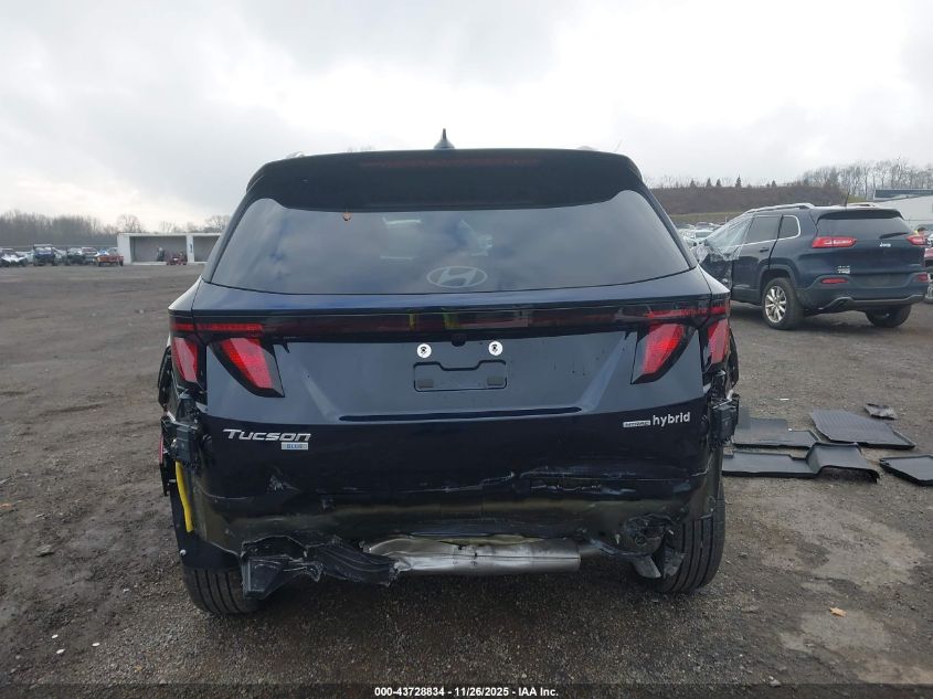 2025 Hyundai Tucson Hybrid Blue VIN: KM8JBDD18SU379006 Lot: 43728834