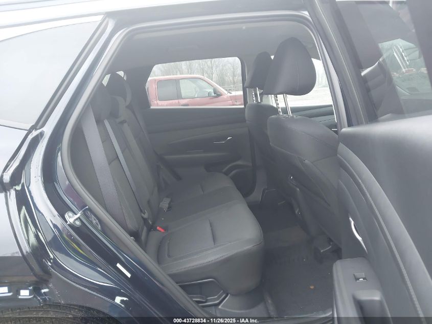 2025 Hyundai Tucson Hybrid Blue VIN: KM8JBDD18SU379006 Lot: 43728834