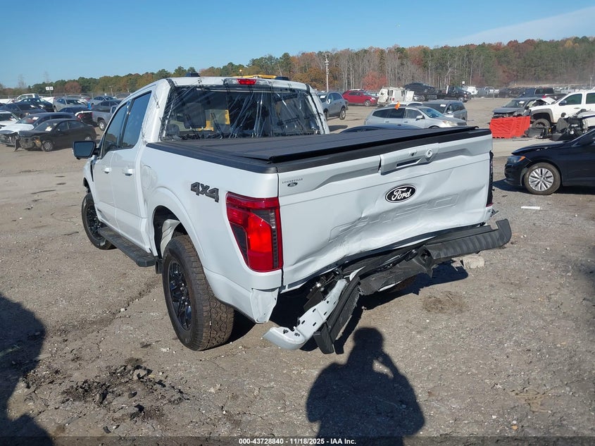 1FTFW3LD0SFB73462 2025 FORD F-150 photo no. 6