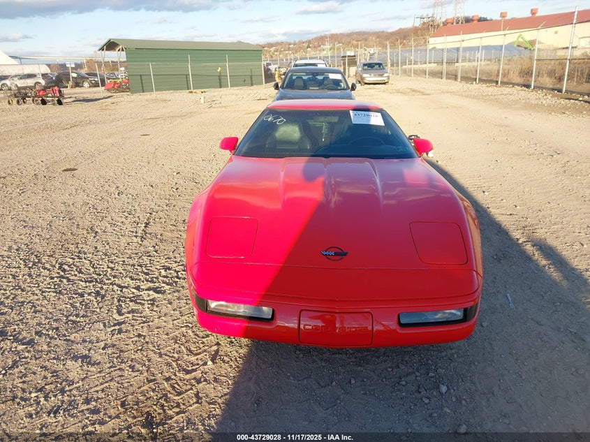 1995 Chevrolet Corvette VIN: 1G1YY22P6S5100670 Lot: 43729028