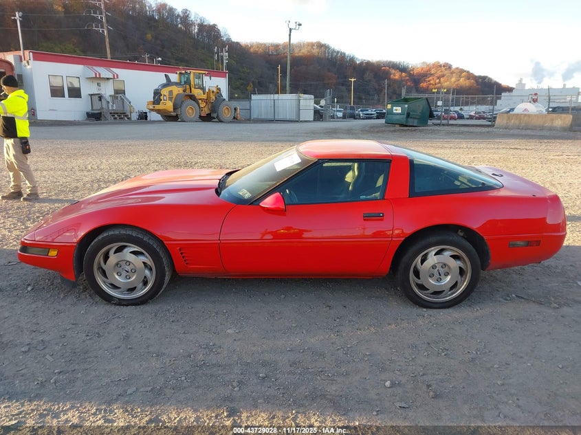 1995 Chevrolet Corvette VIN: 1G1YY22P6S5100670 Lot: 43729028