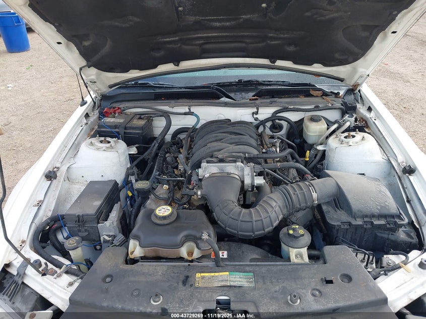 2008 Ford Mustang Gt Deluxe/Gt Premium VIN: 1ZVHT82H885116442 Lot: 43729269