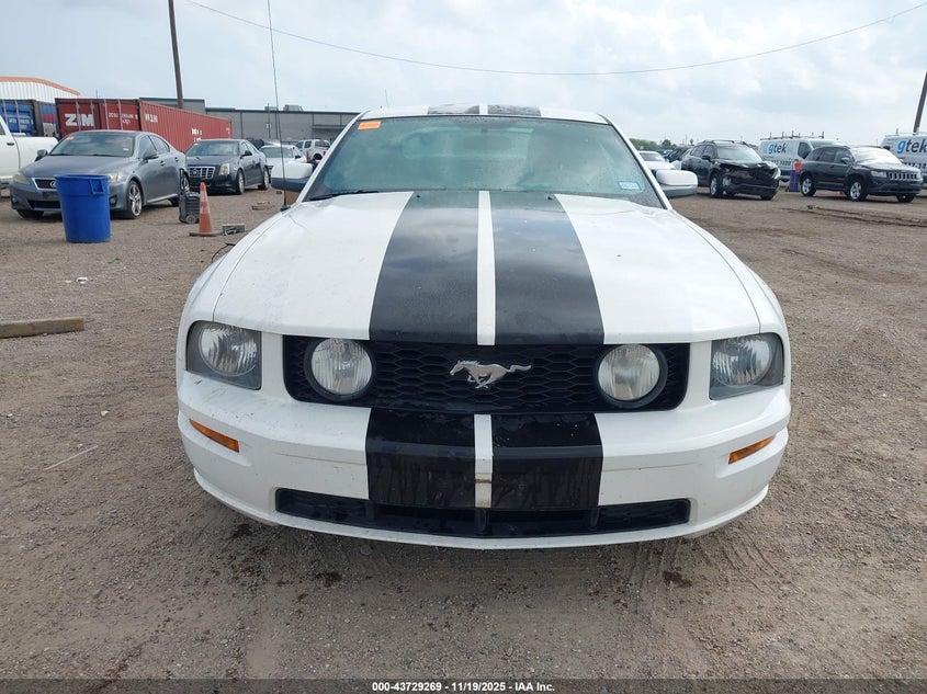 2008 Ford Mustang Gt Deluxe/Gt Premium VIN: 1ZVHT82H885116442 Lot: 43729269