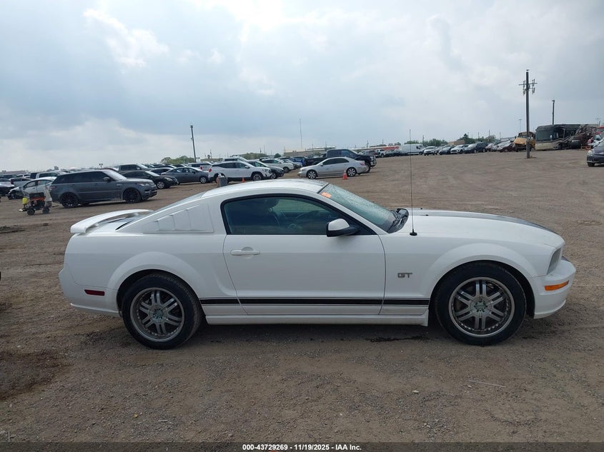 2008 Ford Mustang Gt Deluxe/Gt Premium VIN: 1ZVHT82H885116442 Lot: 43729269