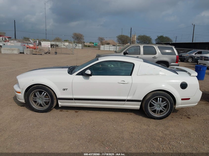 2008 Ford Mustang Gt Deluxe/Gt Premium VIN: 1ZVHT82H885116442 Lot: 43729269