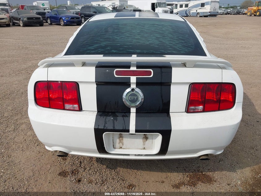 2008 Ford Mustang Gt Deluxe/Gt Premium VIN: 1ZVHT82H885116442 Lot: 43729269