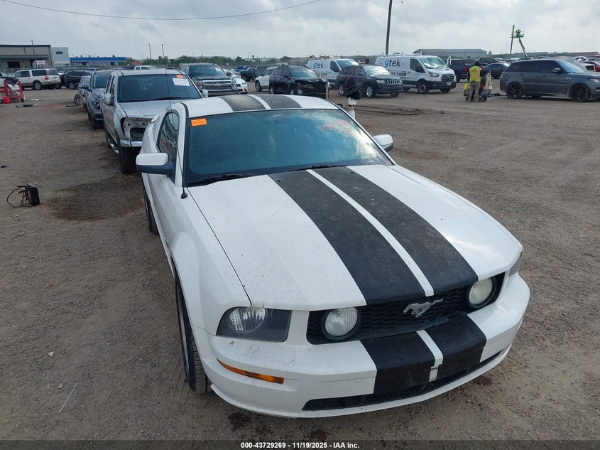 2008 Ford Mustang Gt Deluxe/Gt Premium VIN: 1ZVHT82H885116442 Lot: 43729269