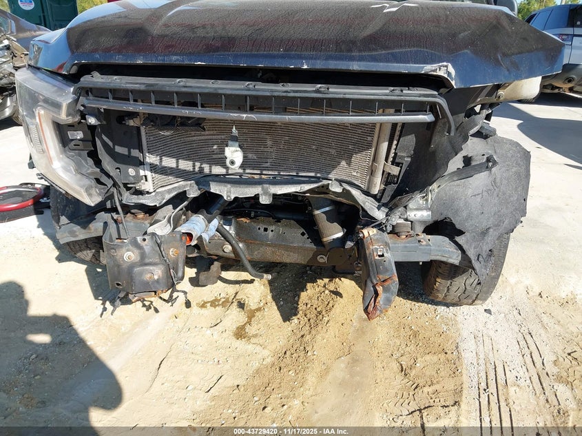 1FTEW1CP9LKE69762 2020 FORD F-150 photo no. 6