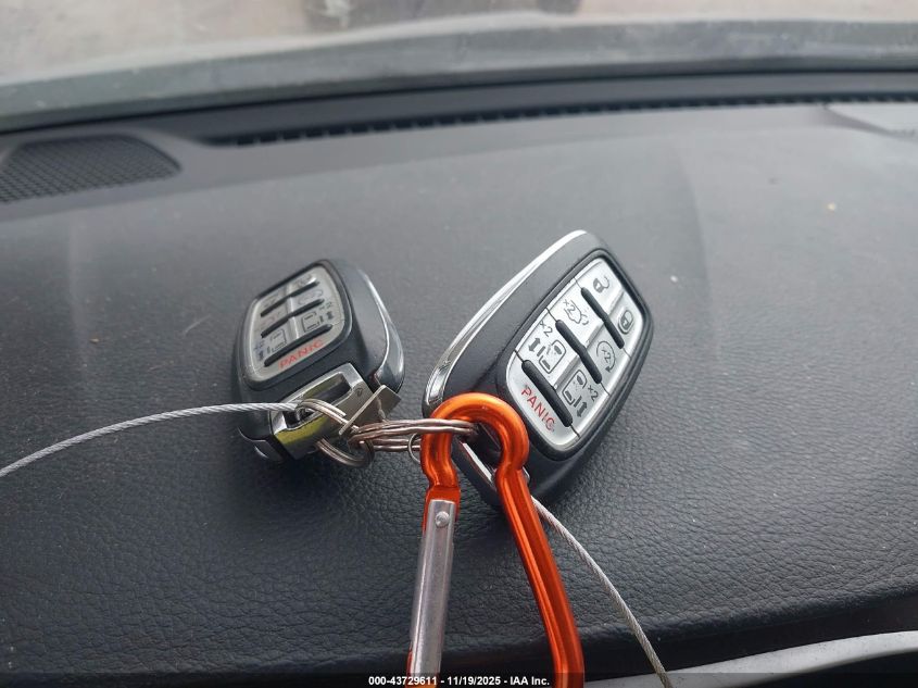 2017 Chrysler Pacifica Limited VIN: 2C4RC1GG3HR531363 Lot: 43729611