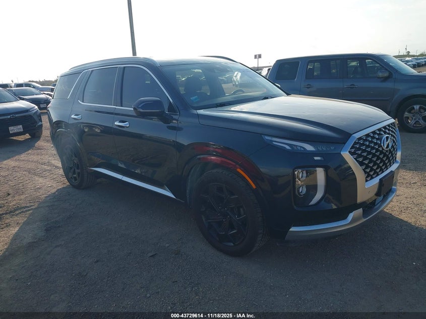 HYUNDAI PALISADE CALLIGRAPHY