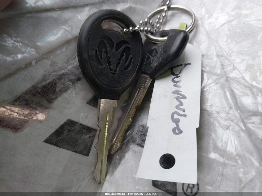 1999 Dodge Durango VIN: 1B4HS28YXXF636612 Lot: 43729644