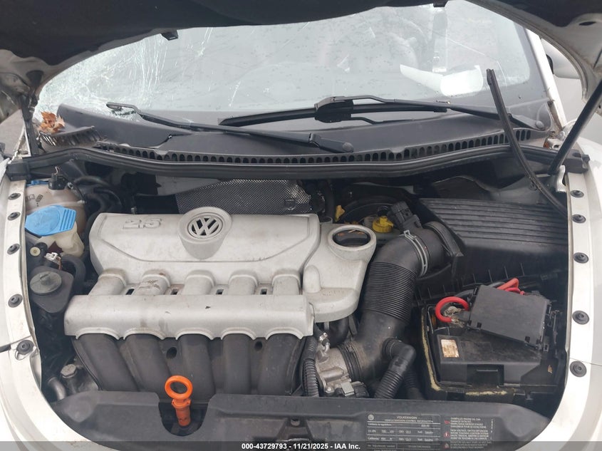 2009 Volkswagen New Beetle 2.5L Blush Edition VIN: 3VWSG31Y19M409772 Lot: 43729793