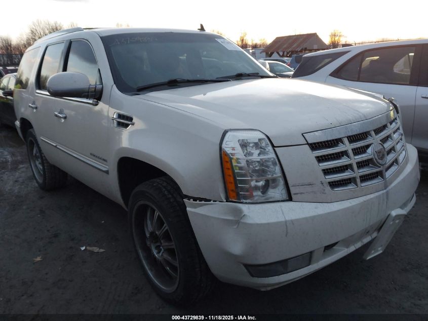 CADILLAC ESCALADE PREMIUM