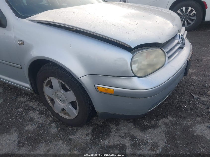 2002 Volkswagen Golf Gls 2.0L VIN: 9BWGK61J524066709 Lot: 43730227