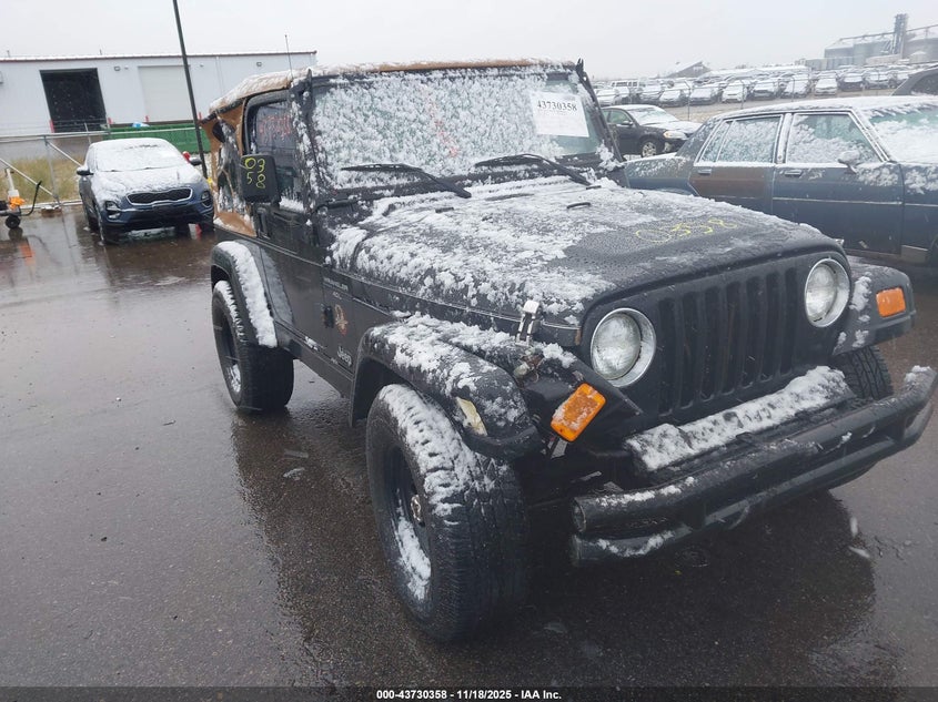 2000 Jeep Wrangler Sahara VIN: 1J4FA59S8YP768234 Lot: 43730358
