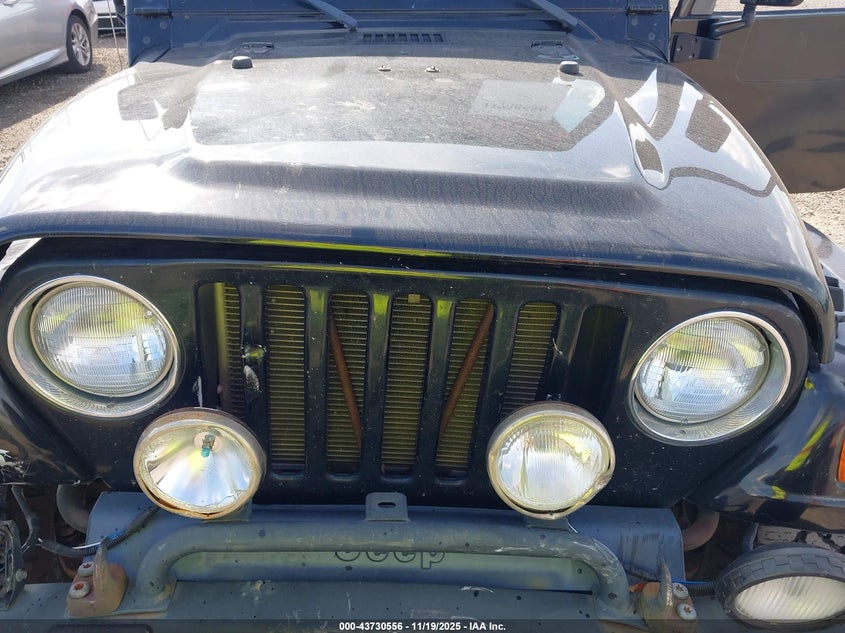 2002 Jeep Wrangler Sahara VIN: 1J4FA59S62P756767 Lot: 43730556