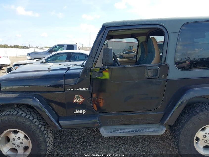 2002 Jeep Wrangler Sahara VIN: 1J4FA59S62P756767 Lot: 43730556