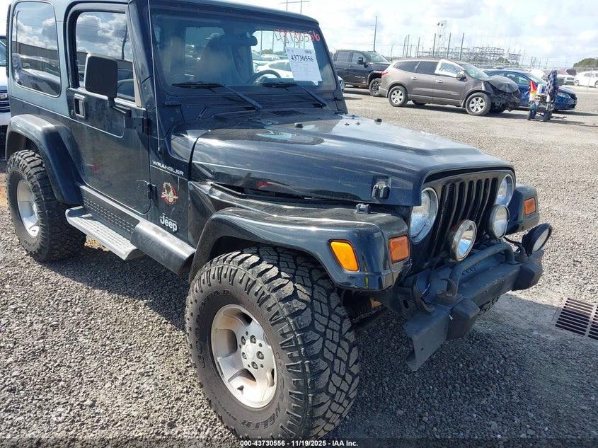 2002 Jeep Wrangler Sahara VIN: 1J4FA59S62P756767 Lot: 43730556