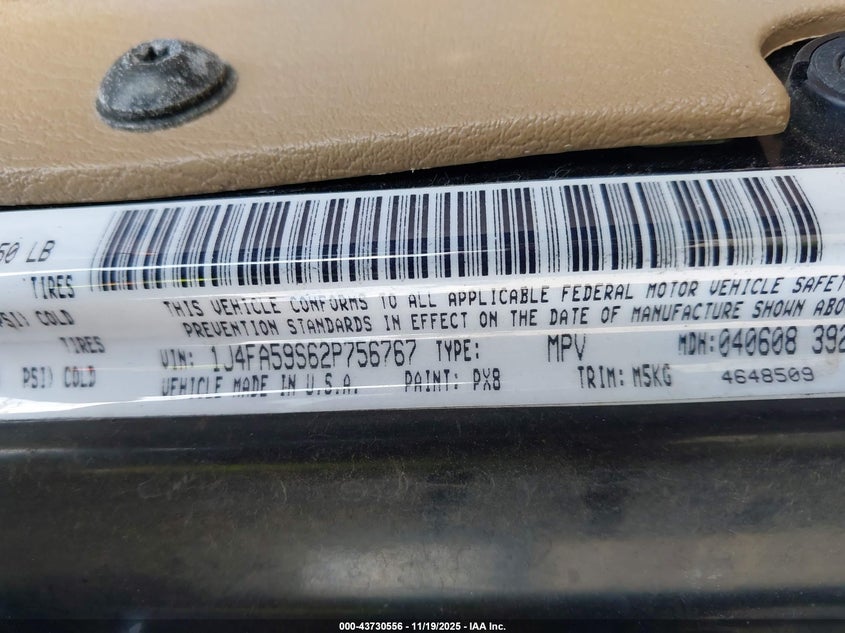 2002 Jeep Wrangler Sahara VIN: 1J4FA59S62P756767 Lot: 43730556