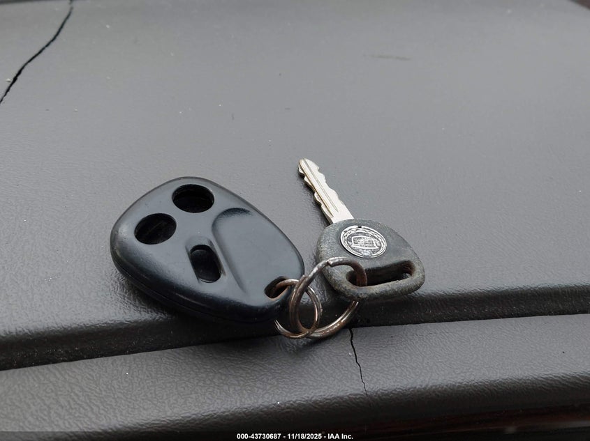 2003 Cadillac Escalade Standard VIN: 1GYEK63N03R303879 Lot: 43730687