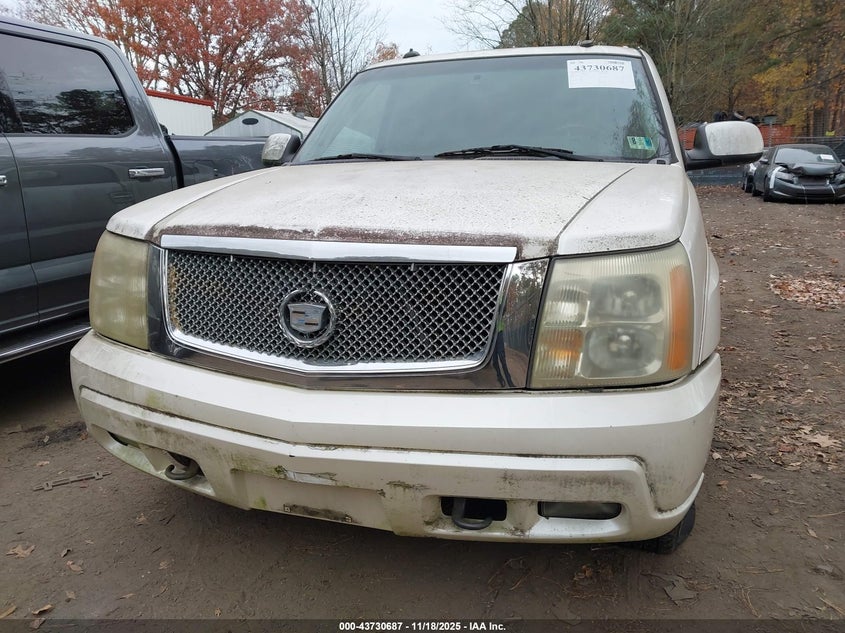 2003 Cadillac Escalade Standard VIN: 1GYEK63N03R303879 Lot: 43730687