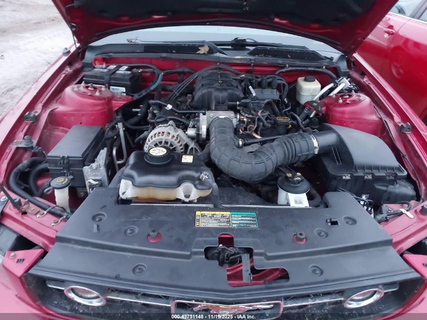 2006 Ford Mustang V6 VIN: 1ZVHT80N265230121 Lot: 43731148