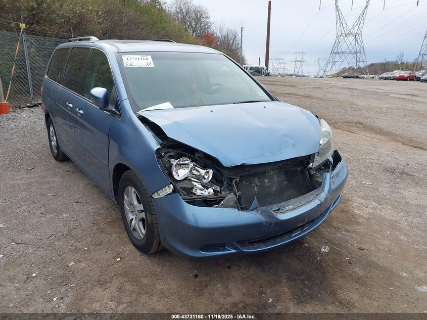 2005 Honda Odyssey Ex-L VIN: 5FNRL38625B034524 Lot: 43731160